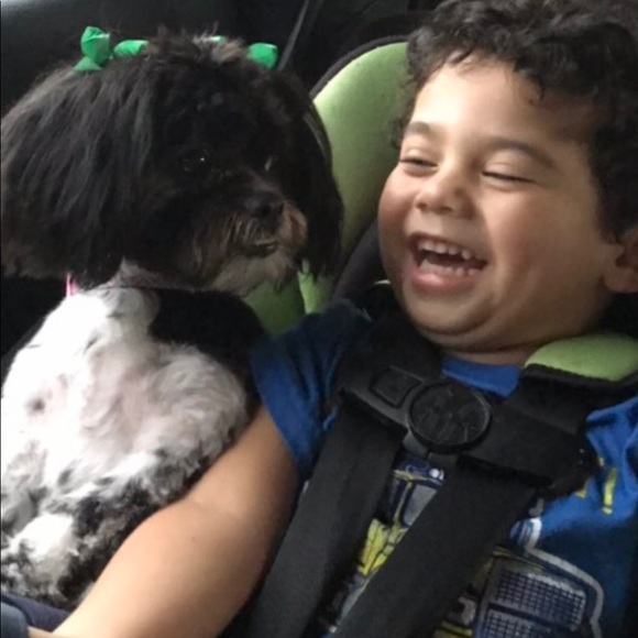 Meet your Posher, CANO 🙏❤️🙏❤️ - Picture 4 of 5